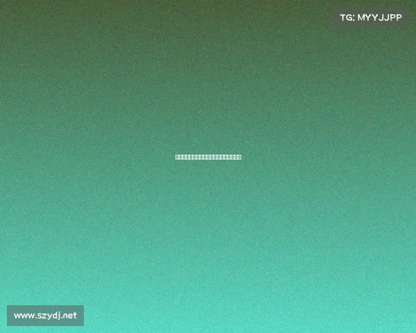 自由搏击赛事等级体系深度解析与实战应用